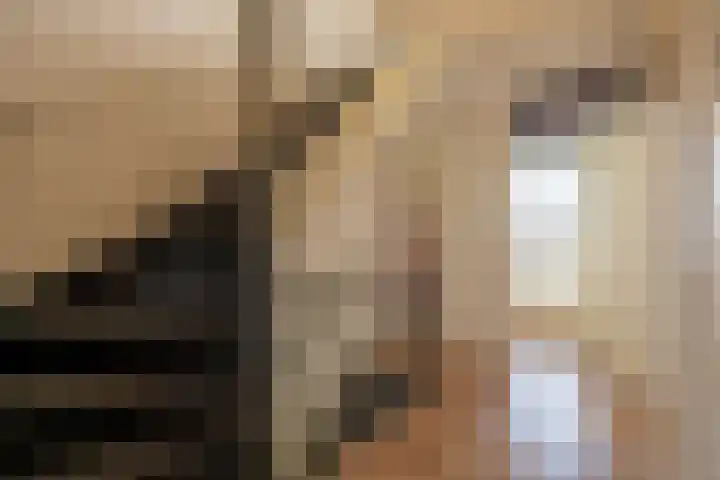 Olivijn 13 Venlo thumbnail 16