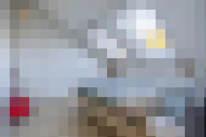 Olivijn 13 Venlo thumbnail 18