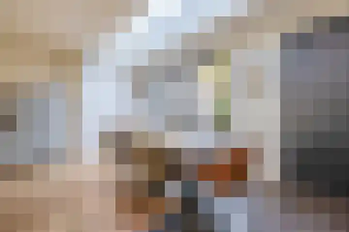 Olivijn 13 Venlo thumbnail 8