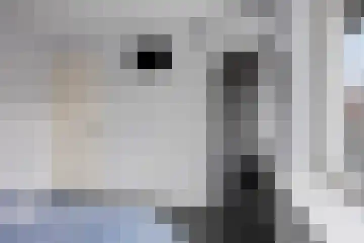 Olivijnstraat 3 Nijmegen thumbnail 20