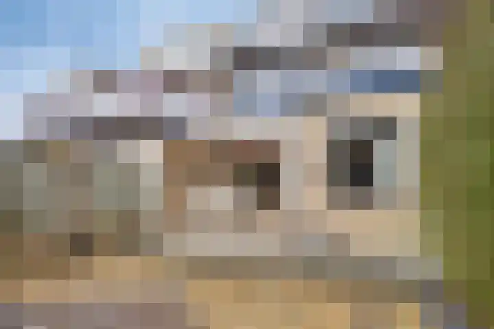 Olivijnstraat 3 Nijmegen thumbnail 28