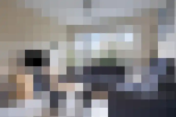 Olivijnstraat 3 Nijmegen thumbnail 8