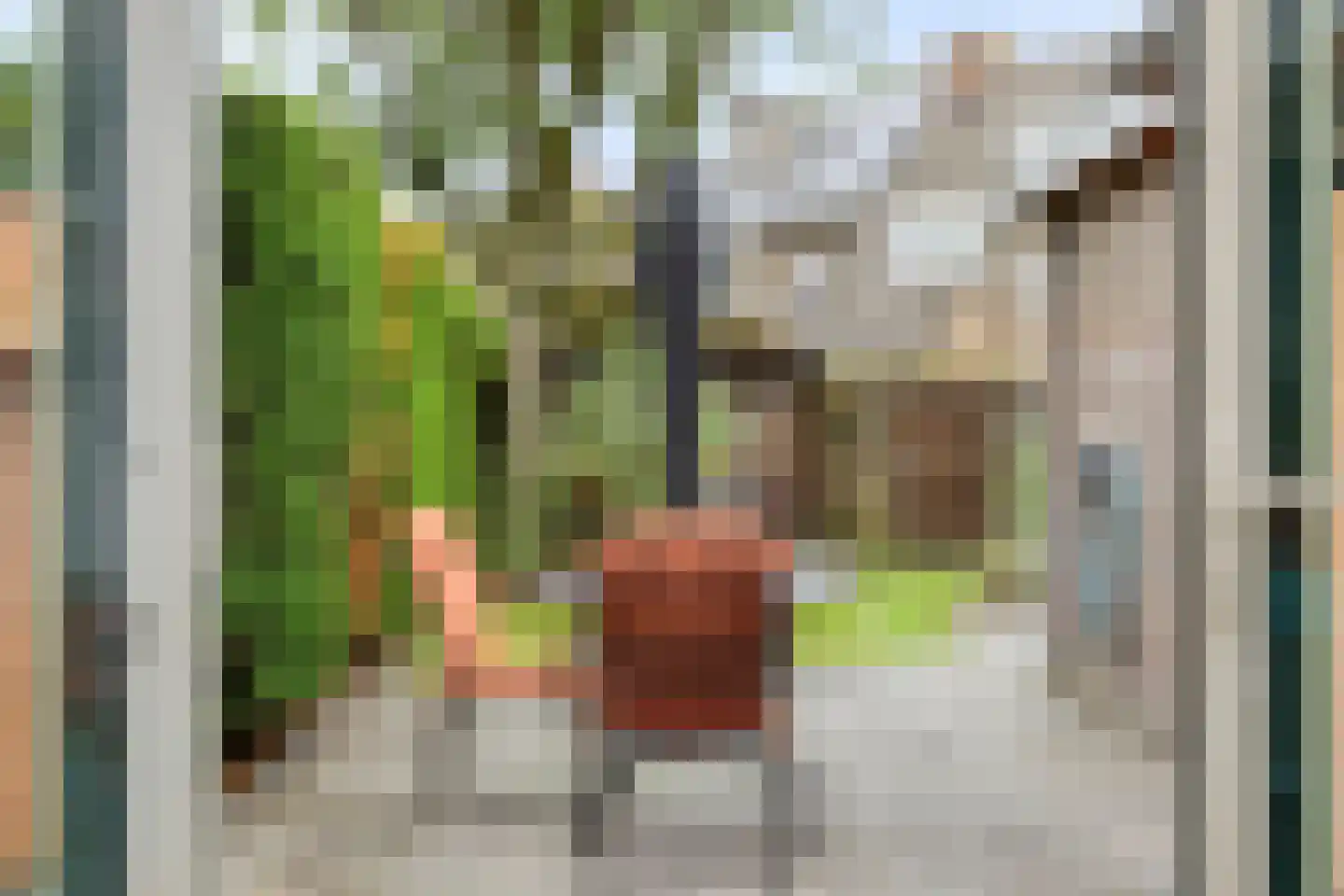 Ollandse loop 24 Tilburg thumbnail 11