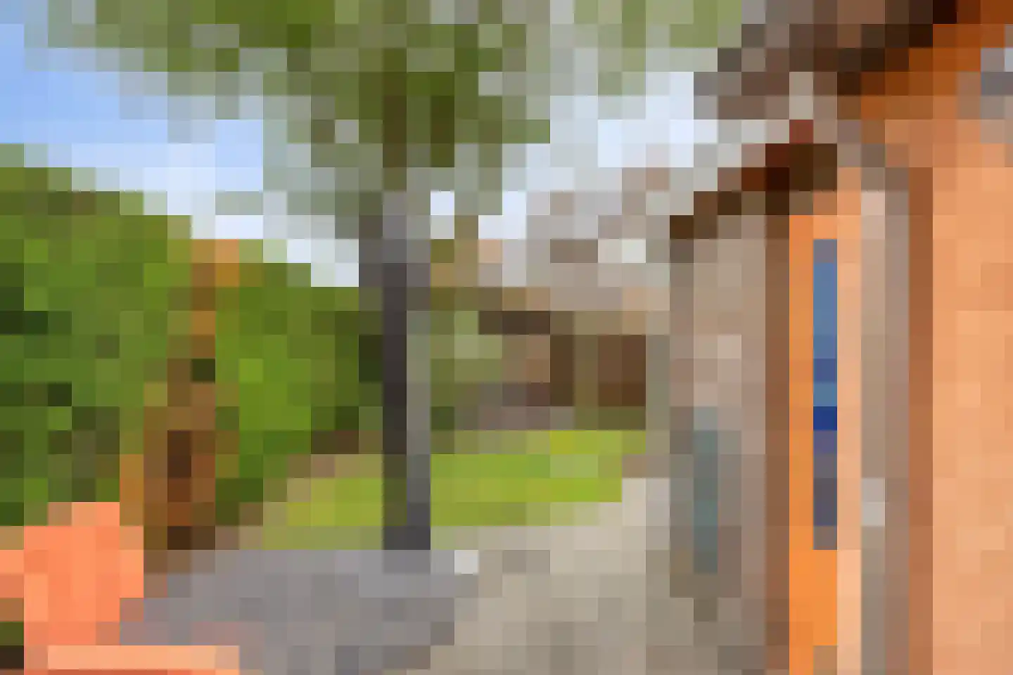 Ollandse loop 24 Tilburg thumbnail 30