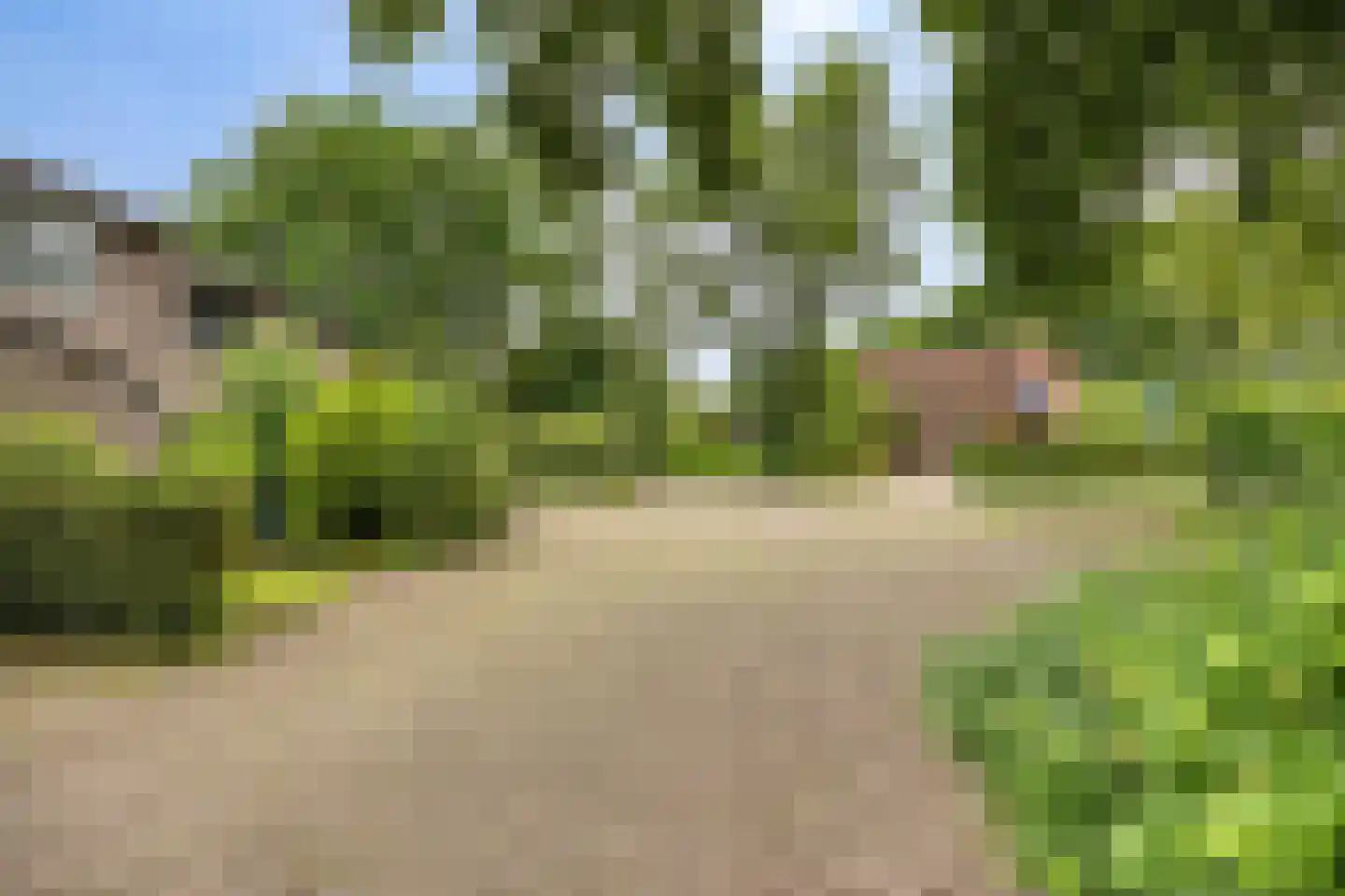 Ollandse loop 24 Tilburg thumbnail 39