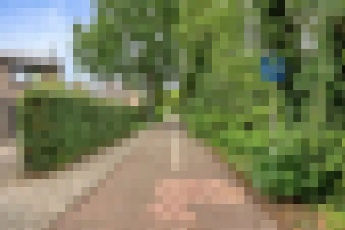 Ollandse loop 24 Tilburg thumbnail 42