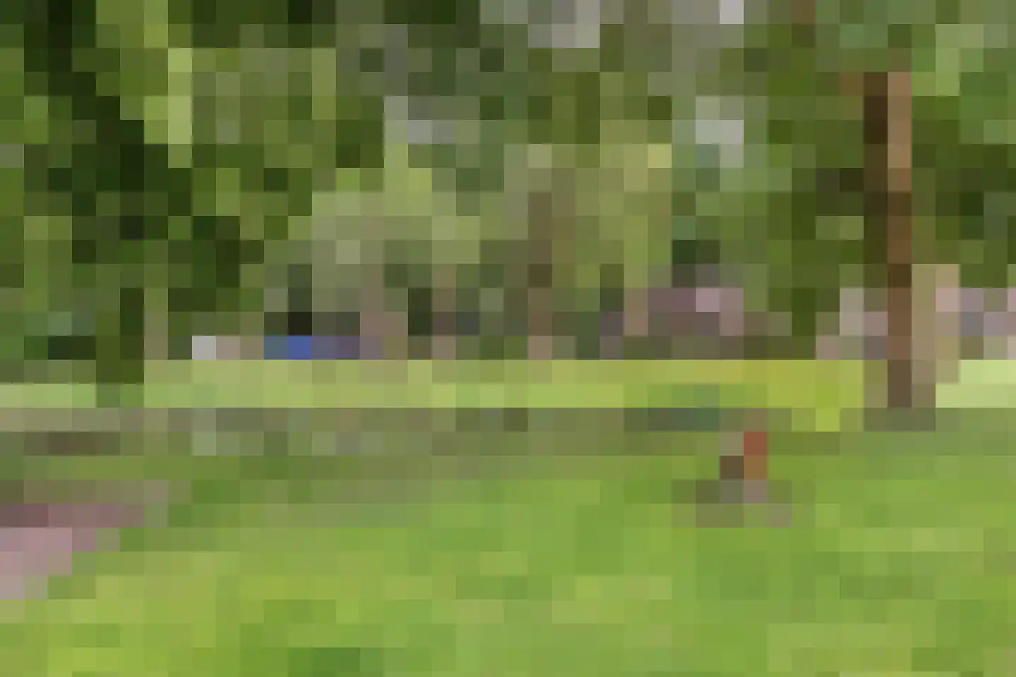 Ollandse loop 24 Tilburg thumbnail 43