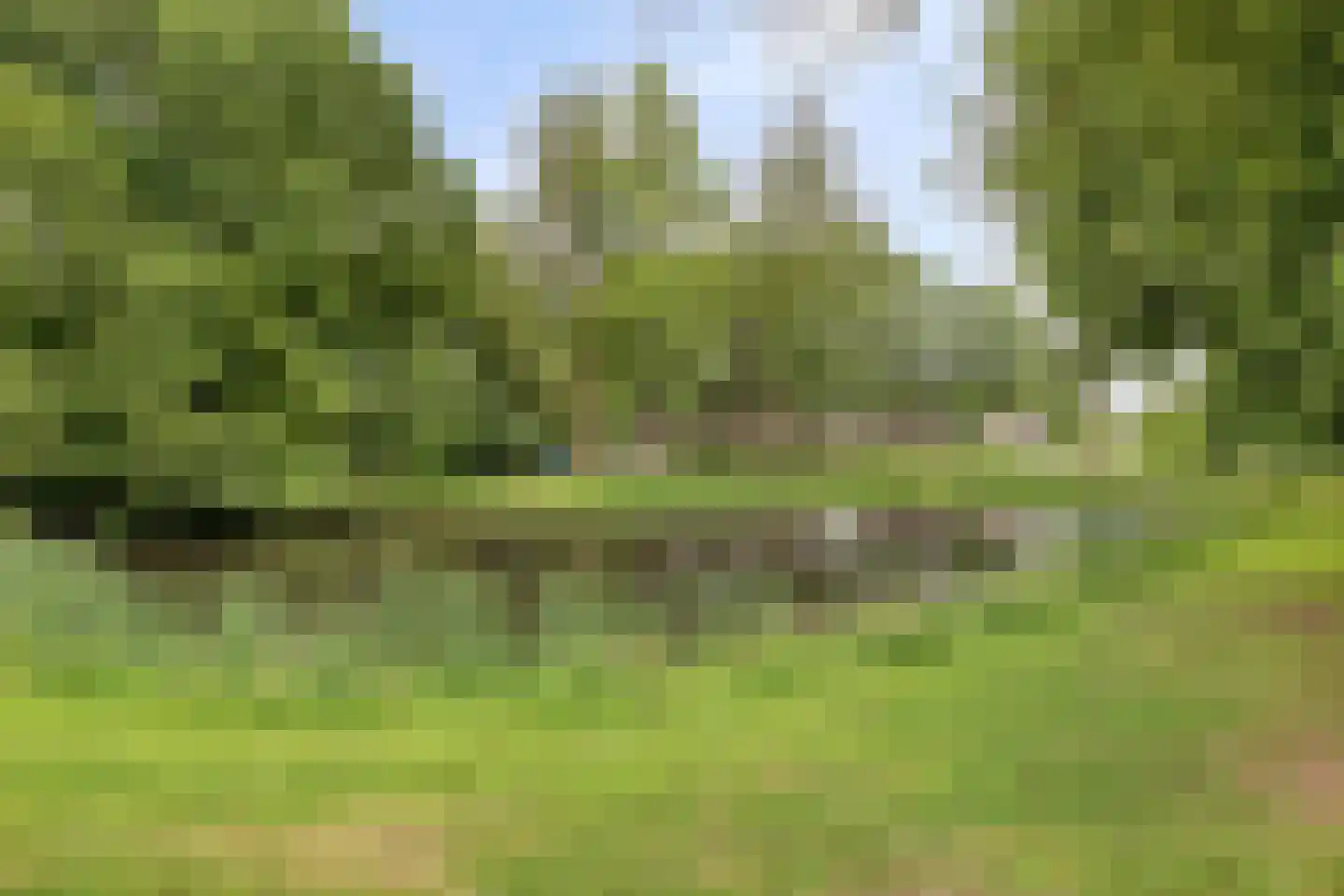Ollandse loop 24 Tilburg thumbnail 44
