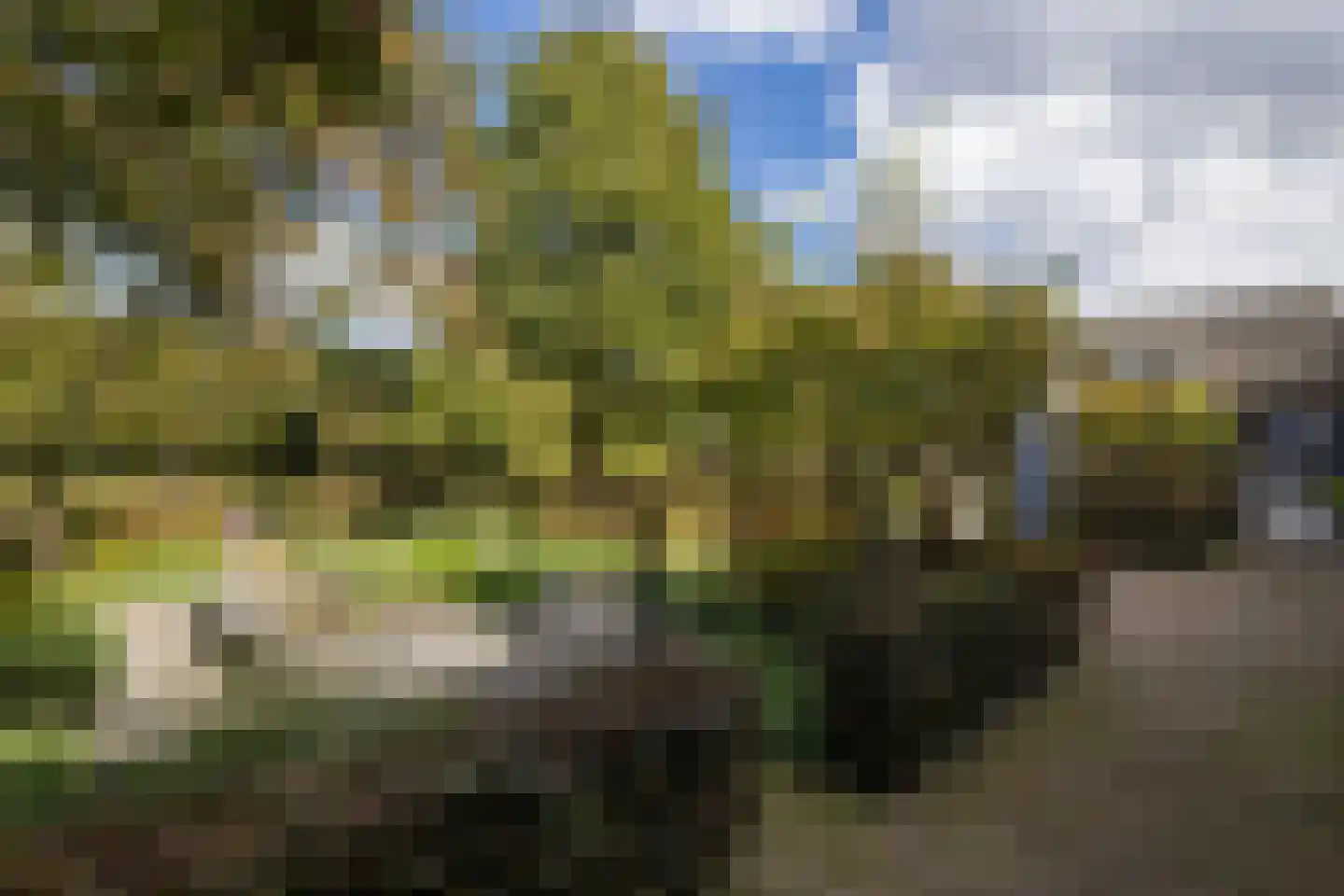 Ollandseweg 100 Sint-Oedenrode thumbnail 15