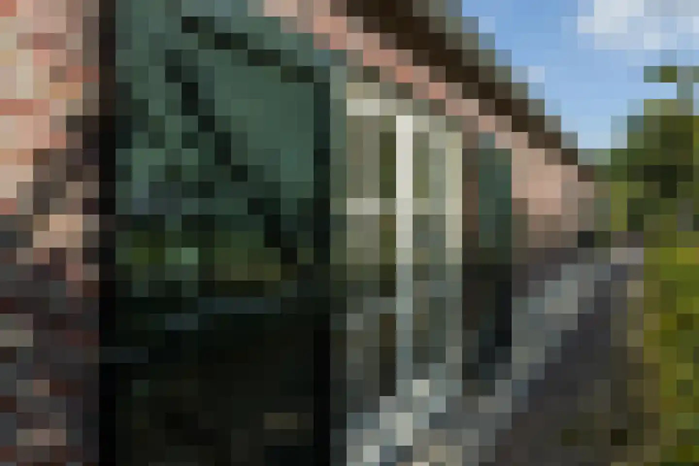 Ollandseweg 100 Sint-Oedenrode thumbnail 8