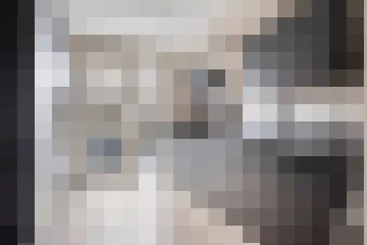 Olle Kapoenstraat 1 Almere thumbnail 10