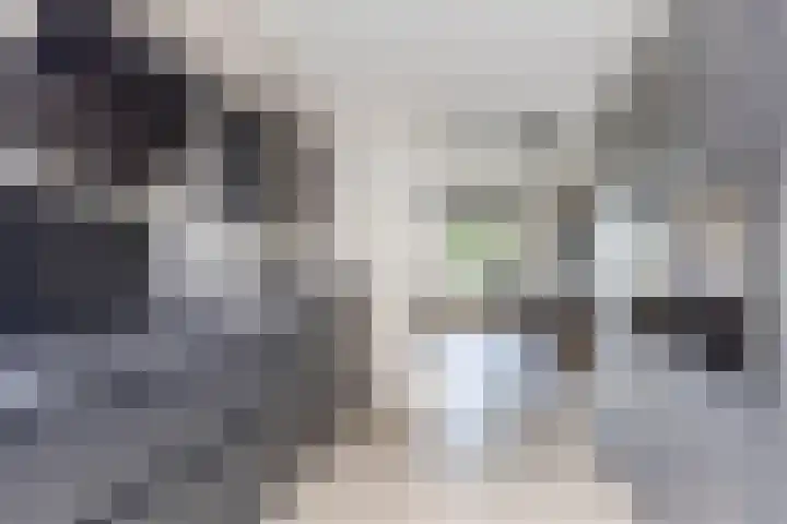 Olle Kapoenstraat 1 Almere thumbnail 12