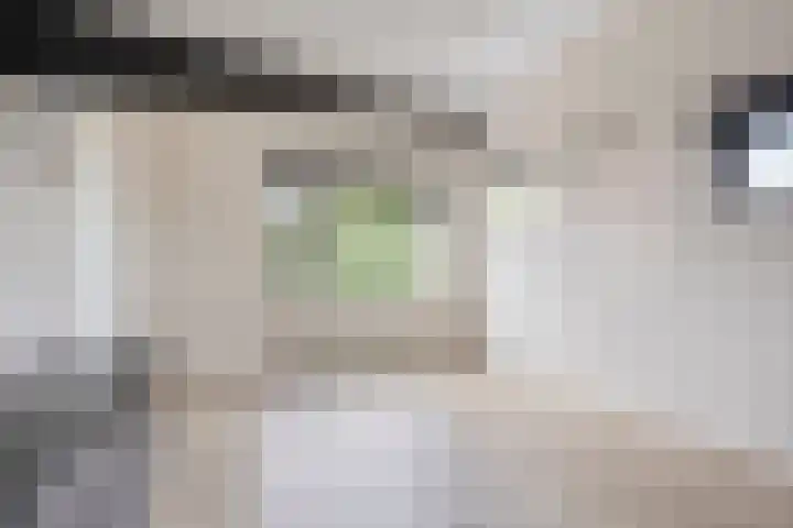 Olle Kapoenstraat 1 Almere thumbnail 29