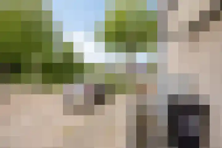 Olle Kapoenstraat 1 Almere thumbnail 37