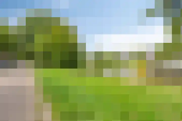 Olle Kapoenstraat 1 Almere thumbnail 39