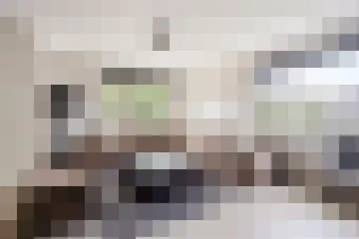 Olle Kapoenstraat 1 Almere thumbnail 5