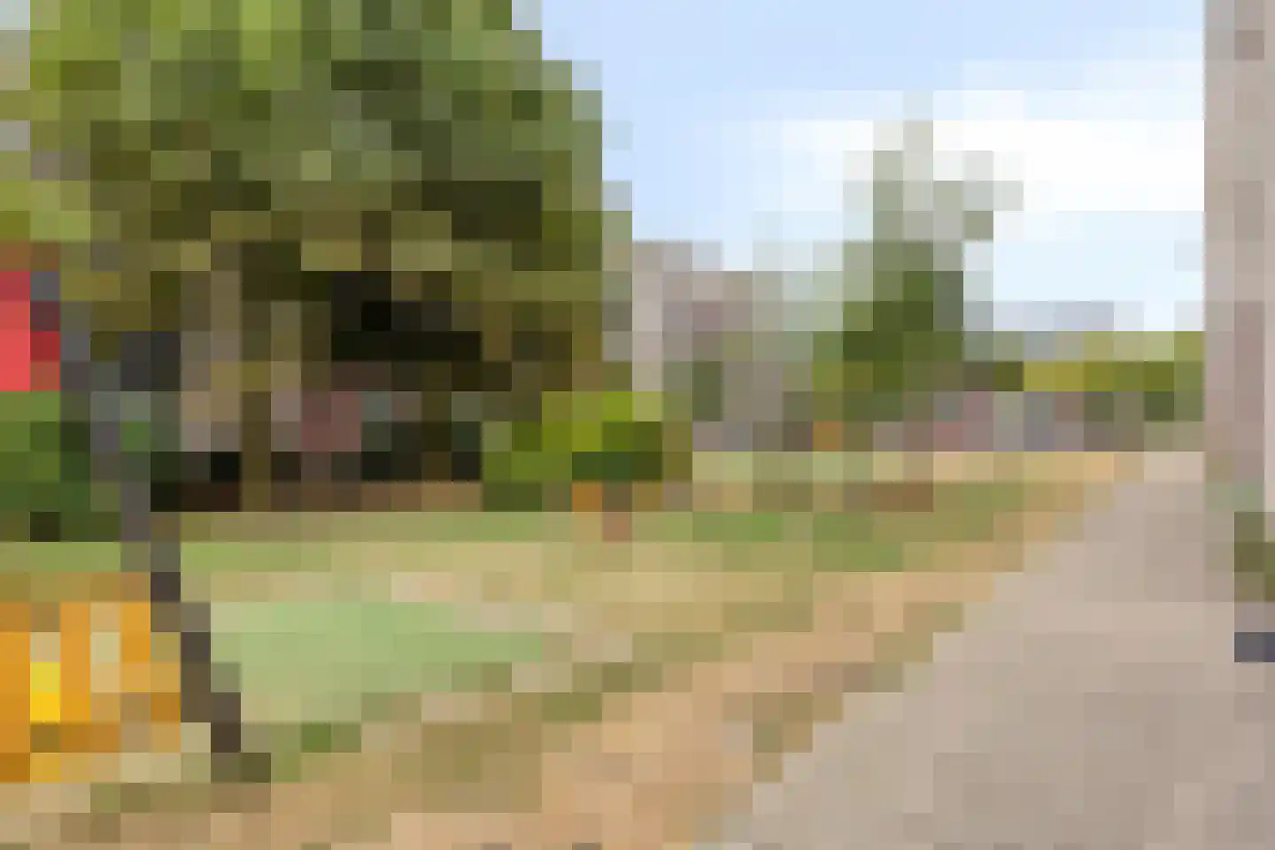 Olle Kapoenstraat 10 Almere thumbnail 30