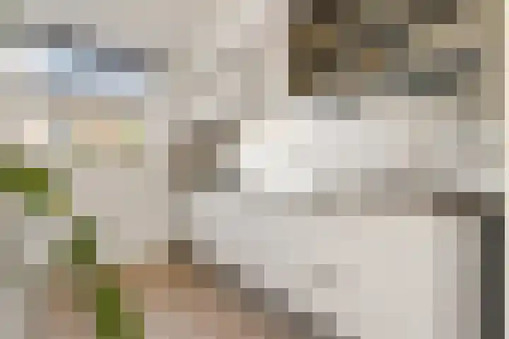 Olle Kapoenstraat 8 Almere thumbnail 14
