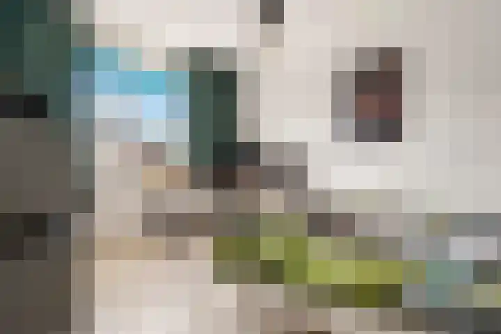 Olle Kapoenstraat 8 Almere thumbnail 21