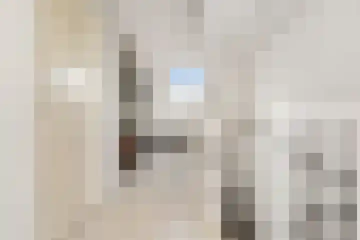 Olle Kapoenstraat 8 Almere thumbnail 31