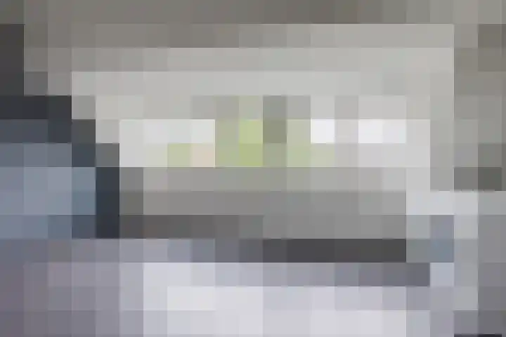 Olmendaal 67 Rotterdam thumbnail 18
