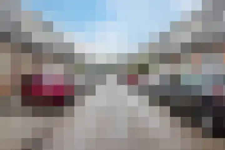 Olmendaal 67 Rotterdam thumbnail 28