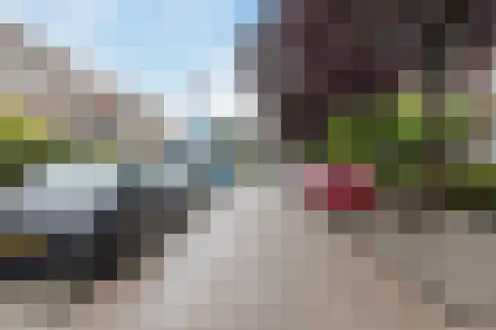 Olmendaal 67 Rotterdam thumbnail 29