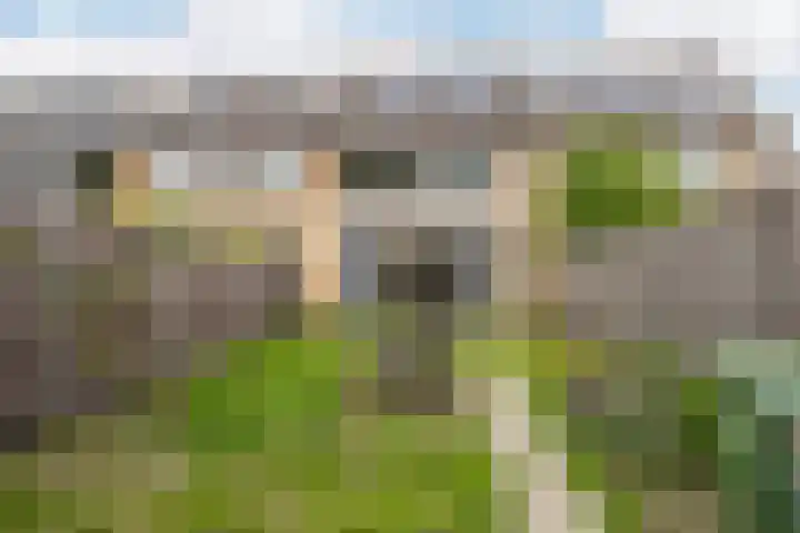 Olmendal 77 Maassluis thumbnail 16