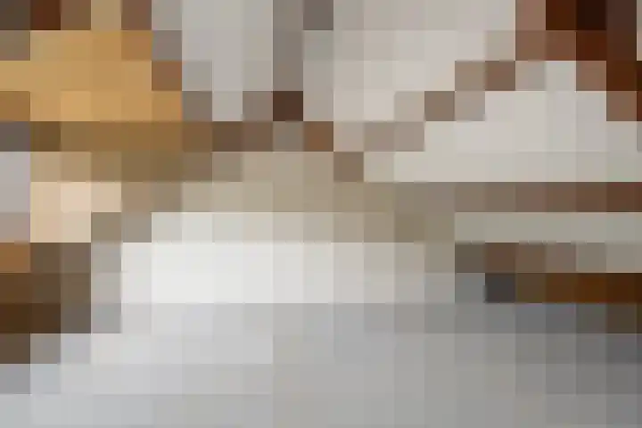 Olmendal 77 Maassluis thumbnail 32