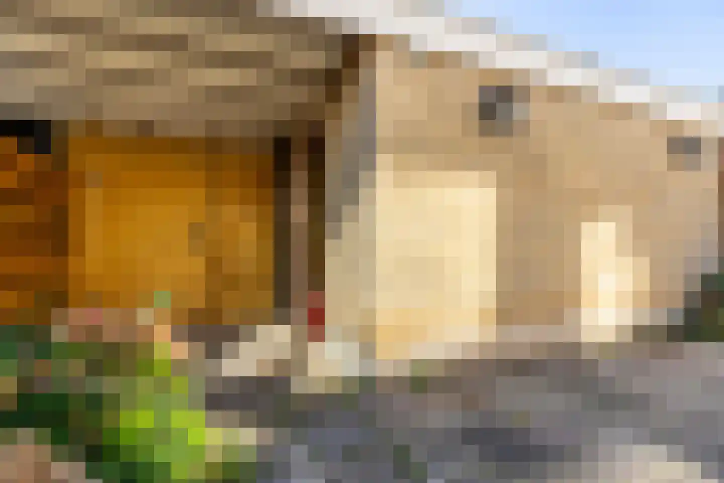 Olmendal 89 Maassluis thumbnail 24