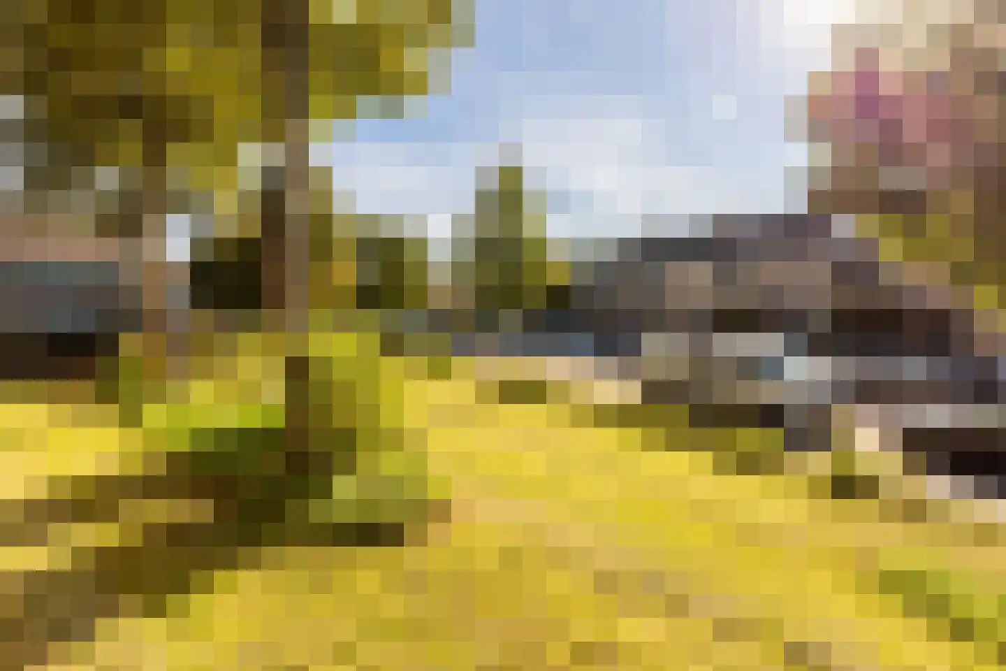 Olmendal 89 Maassluis thumbnail 5