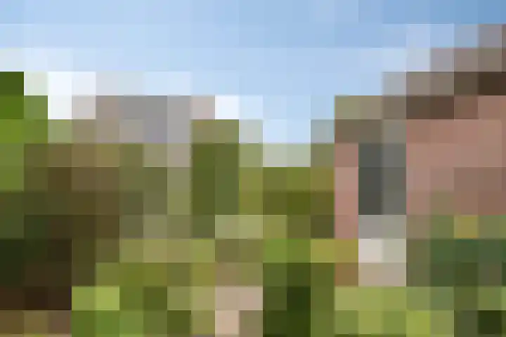 Olmendreef 2 c Steenbergen thumbnail 10