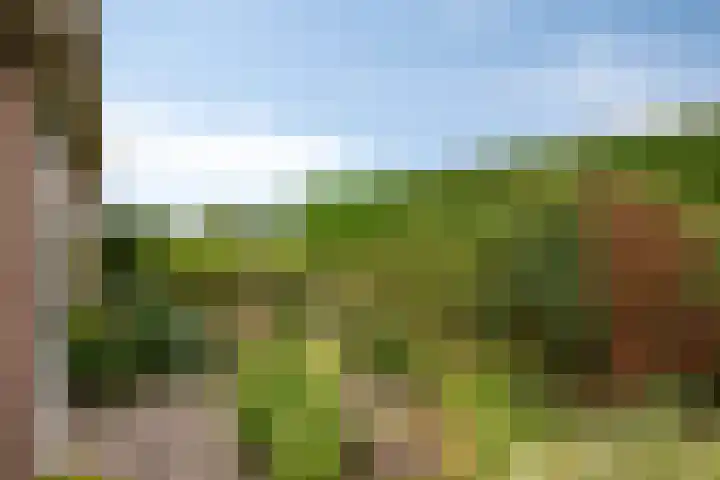 Olmendreef 2 c Steenbergen thumbnail 26