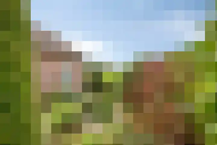 Olmendreef 2 c Steenbergen thumbnail 27