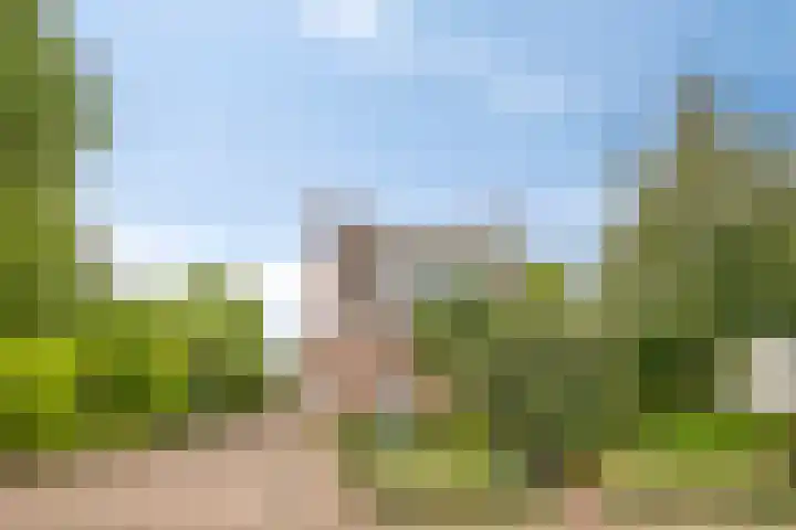 Olmendreef 2 c Steenbergen thumbnail 34