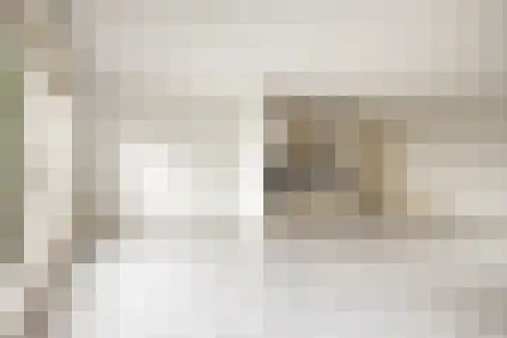 Olmendreef 2 c Steenbergen thumbnail 5