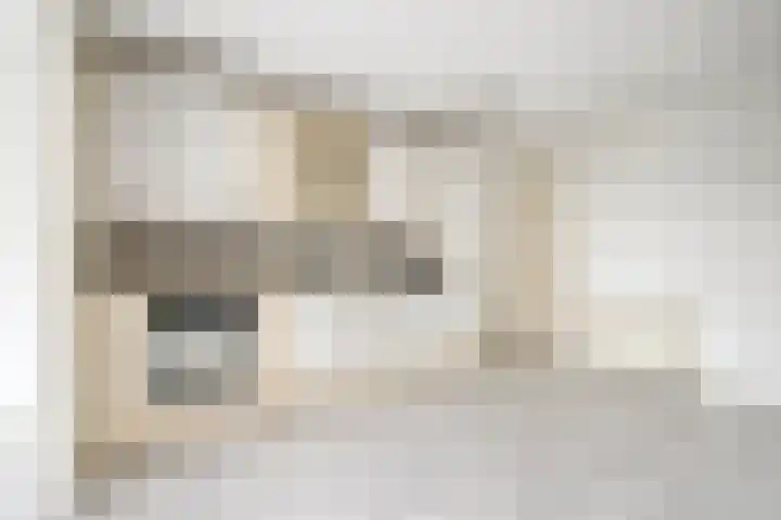 Olmendreef 2 c Steenbergen thumbnail 6