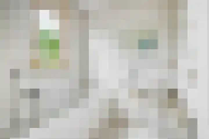 Olmendreef 2 c Steenbergen thumbnail 8