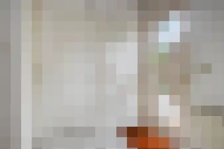 Olmendreef 2 c Steenbergen thumbnail 9
