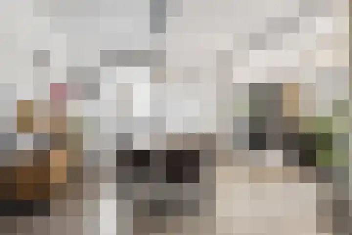 Olmendreef 6 Steenbergen thumbnail 10