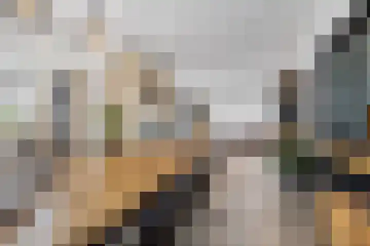 Olmendreef 6 Steenbergen thumbnail 12