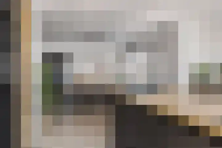 Olmendreef 6 Steenbergen thumbnail 15