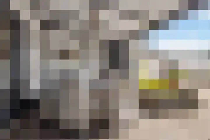 Olmendreef 6 Steenbergen thumbnail 16