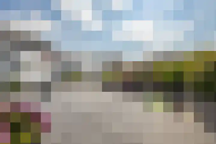 Olmendreef 6 Steenbergen thumbnail 18