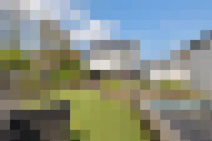 Olmendreef 6 Steenbergen thumbnail 20