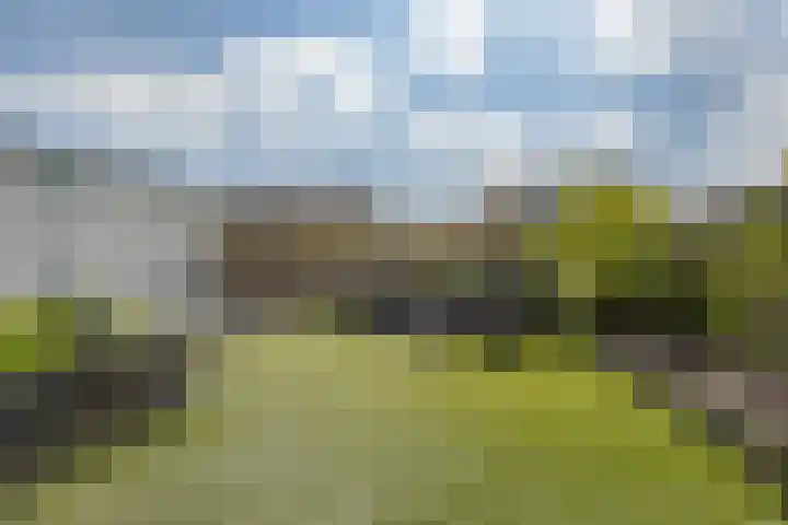 Olmendreef 6 Steenbergen thumbnail 22