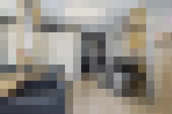 Olmendreef 6 Steenbergen thumbnail 28