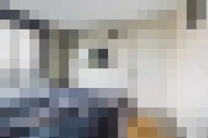Olmendreef 6 Steenbergen thumbnail 33