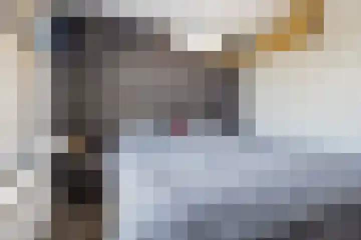 Olmendreef 6 Steenbergen thumbnail 36