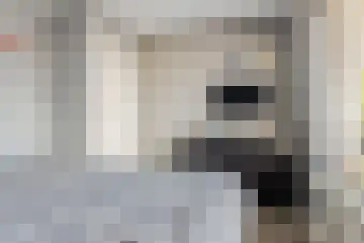 Olmendreef 6 Steenbergen thumbnail 37